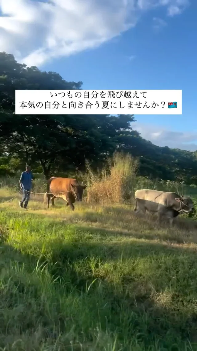 【2025夏渡航】あなたの挑戦と成長を全力で応援するSIFアカデミー🇫🇯
説明会はプロフ⇒ @sif.academy 

美しい海の向こうにある、リアルな社会課題に向き合い、ゼロからイチを生み出す挑戦を🔥

～SIFアカデミーの2025年夏季渡航～
申し込み締め切りは7月11日まで！

【申し込み方法】
プロフィール　→　公式LINE登録　→　説明会申し込み！

#SIFAcademy #自己探求 #価値観が変わる #フィジー #キャリアデザイン #社会課題に向き合う